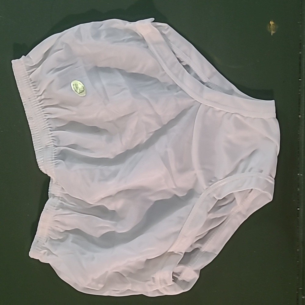 Vintage Sheer 1970s underwear